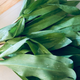 Ramps